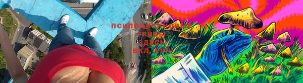тгк Вязьма